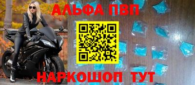 стафф Гай